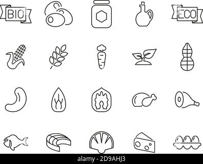 Organic Food Icons Black & White Thin Line Set Big Stock Vector