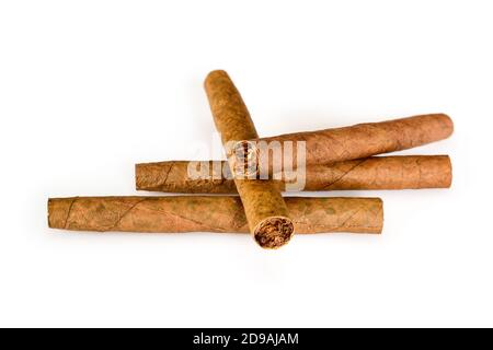 Four tobacco cigarillos isolated on white background with shadow. Close-up, high resolution. Stock Photo