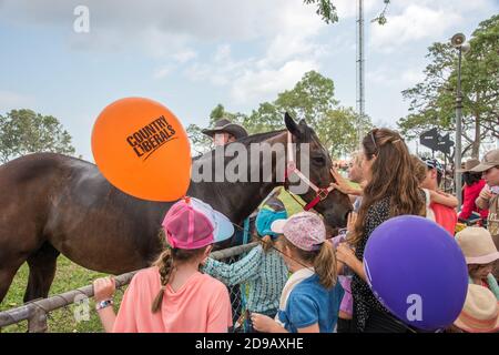 Darwin, NT, Australia-July 27,2018: Families interacting with chestnut brown horse at the Darwin Show at the annual fairground event. Stock Photo