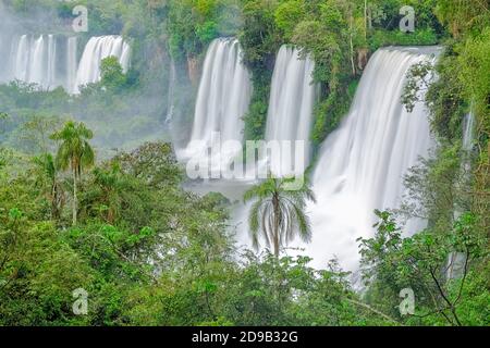 Iguazú Falls or Iguaçu Falls, 5 peaceful waterfalls in a row. The water comes out of the rainforest. Motion blur shows a smooth effect on the water. Stock Photo