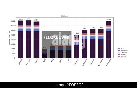 Chart graph diagram bar histograms Stock Vector