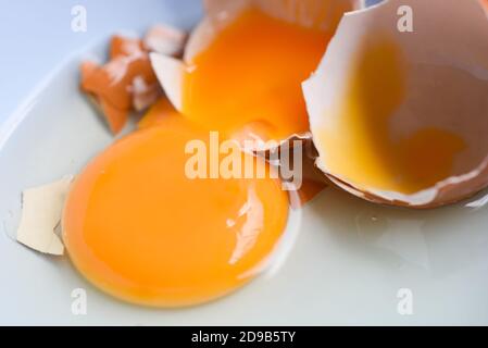 broken egg yolk on bowl, Fresh chicken eggs Stock Photo
