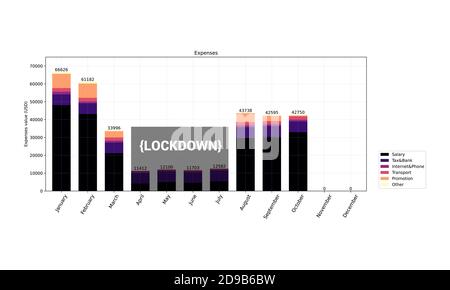 Chart graph diagram bar histograms Stock Vector