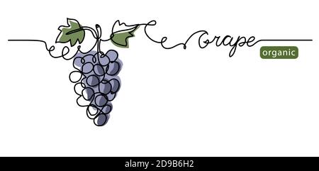Grape bunch vector illustration. One continuous line drawing art illustration with lettering organic grape Stock Vector