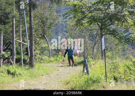 an old male farmer was walking towards his house carrying wood from his garden. morning activities of the highland residents of Wonosobo, Central Java Stock Photo