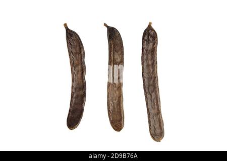 Three carob pods isolated on white background. Top view. Healthy organic sweet carob pods. Stock Photo