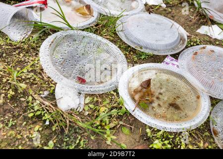 Still water collected on rubbish become breeding ground for mosquito Stock Photo