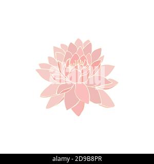 red Lotus flower. Mandalas. isolated on a white background. logo s. Vector illustration Stock Vector
