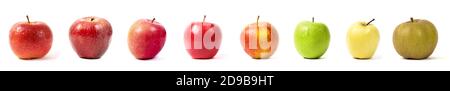 different apple varieties on white background studio shot Stock Photo