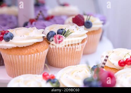 Blueberries and raspberry on a holiday cupcake with white cream. A set of different delicious cupcakes. Stock Photo