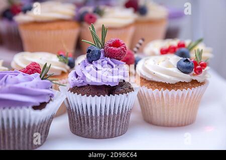 Blueberries and raspberry on a holiday cupcake with lilac cream. A set of different delicious cupcakes. Stock Photo