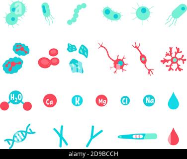 Microbiology flat color vector objects set Stock Vector
