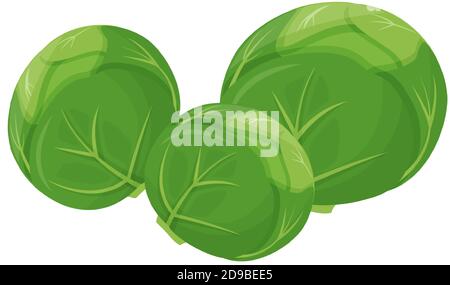Brussels sprouts cartoon vector illustration Stock Vector