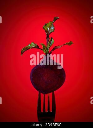 Fresh ripe beetroot on metal fork placed on red background in dark studio Stock Photo
