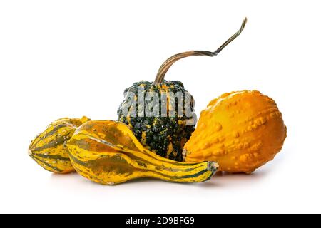 group of decorative pumpkins isolated on white background Stock Photo