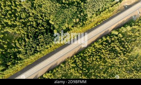 Aerial birds eye view over an empty country road between green forest on a sunny day. Scenic top view from drone on nature landscape and highway. No t