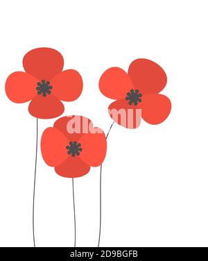 Red poppies flowers. Vector illustration Stock Vector Image & Art - Alamy