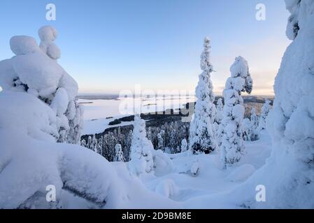 Winter landscape in Koli National Park, Finland Stock Photo