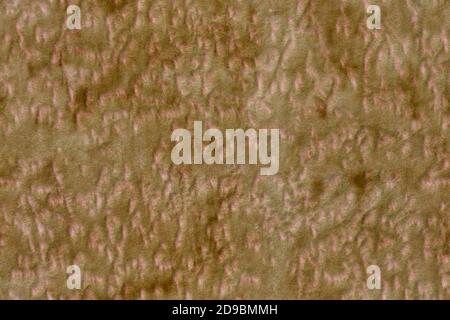 A seamless texture of synthetic brown polyester soft furniture upholstery with random blots pattern Stock Photo