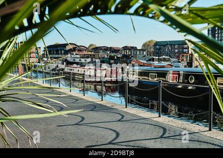 Houseboats moored in Blackwall Dock in sunshine, London, UK, 4th November 2020