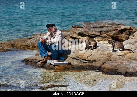 Cats watching a  fisherman cleaning fish  at water's edge, Chora, Mykonos Town, Mykonos, Cyclades Islands, Greek Islands, Greece, Eu Stock Photo