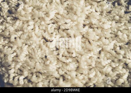 Carpet fibers close up. white carpet texture, top view. Stock Photo