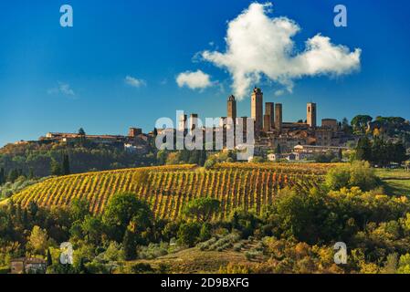 the towers of San Gimignano stand tall above an autumn vineyard with a puffy cloud floating in the blue sky Stock Photo