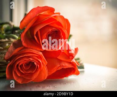 bouquet of natural three red roses Stock Photo