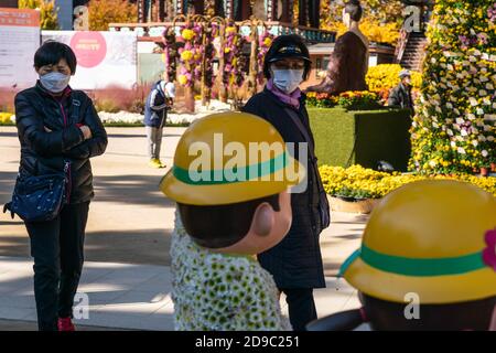 Seoul, South Korea. 04th Nov, 2020. A Woman Wearing A Face Mask As A 