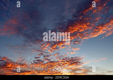Afterglow, sky with altocumulus clouds Stock Photo