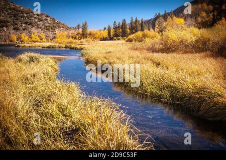 A mountain stream surrounded by fall colors in the Sierra Nevada mountains. Stock Photo