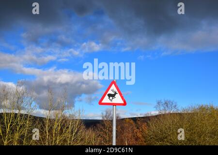 Red triangle deer warning sign Stock Photo - Alamy