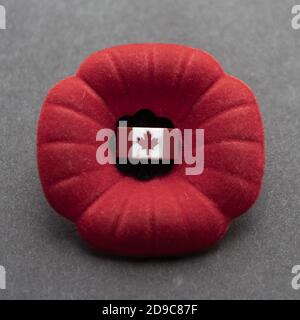Canadian poppy for remembrance day with Canada flag pin on dark ...