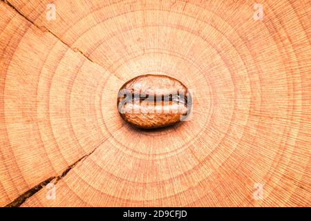 A single roasted coffee bean on a log showing its growth rings Stock Photo