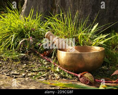 Singing bowl placed in the nature in the middle of herbs and brambles plant Stock Photo