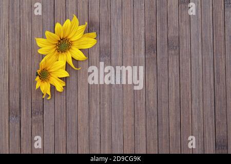 Two yellow flower on wooden background with copy space. Stock Photo