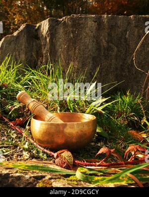 Singing bowl placed in nature in the middle of a plant of herbs and brambles, with a rock in the background Stock Photo