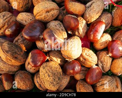 Natural textured background of fall foods, nut and chestnut blend Stock Photo