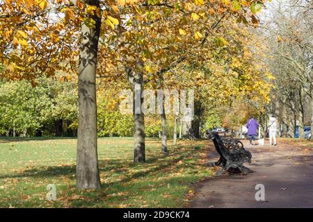 Sun shining on  mother and daughter walking their dog in Greenwich park  England Stock Photo