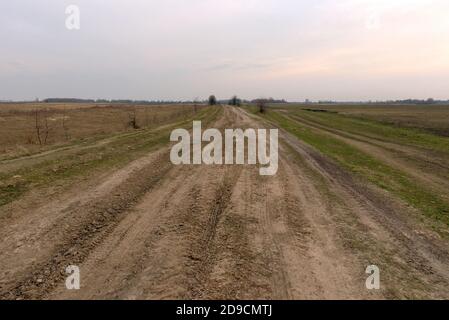 Dirt road among fields on a spring evening. Stock Photo