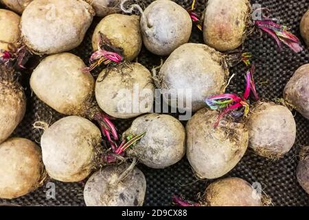 Freshly harvested beetroot from farm for sale Stock Photo