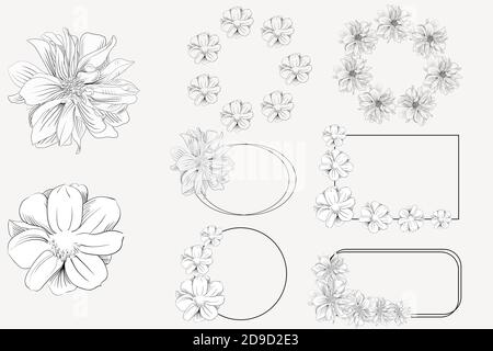 vector flower set with flowers, frames. Stock Vector