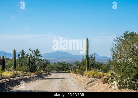A long way down the road of Saguaro National Park, Arizona