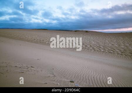 Sand dunes, blue hour. Horizon over land, cloudy sky background Stock Photo