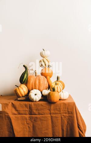 Pumpkins for Halloween or Thanksgiving Day Autumn holiday decoration. Colorful pumpkins of different shapes and size in pyramid composition on table, white wall at background. Seasonal Fall food Stock Photo