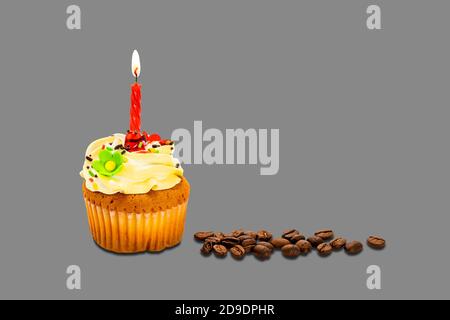 Birthday cupcake garnished with butter cream frosting and colorful rainbow sprinkles with roasted coffee beans on gray background with clipping path Stock Photo