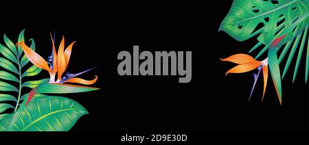 Tropical leaves and flowers isolated on black.  Stock Vector