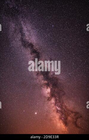 A mesmerizing shot of the Milky Way on the starry sky above the forest ...
