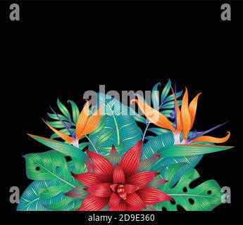 Different tropical leaves and flower isolated on black. Stock Vector