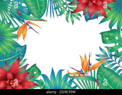 Frame with tropical leaves and flower on white.  Stock Vector